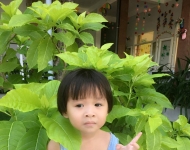 Bé : Hân (Nhí) - Sinh ngày : 09-06-2013 Nguyễn Hồ Bảo Hân (Nhí)